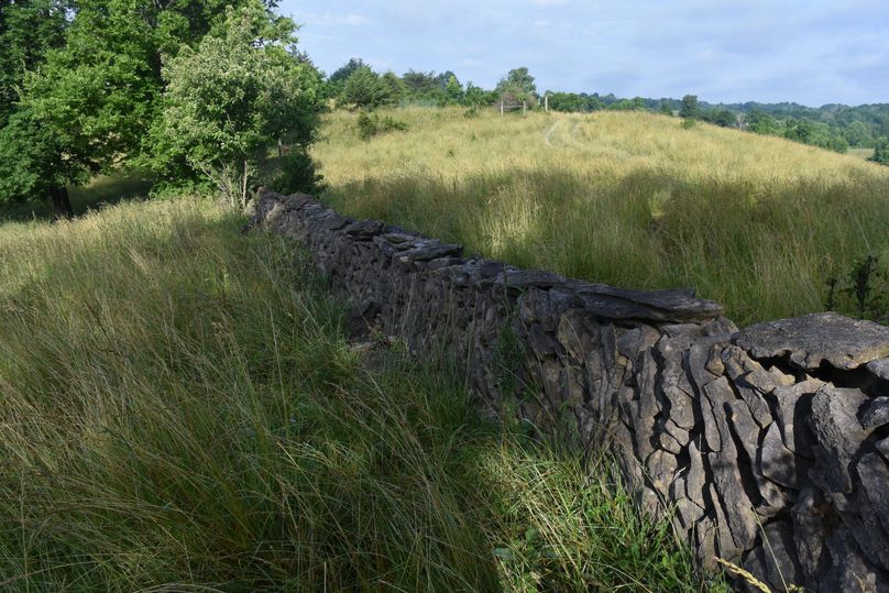12 Old stone fence