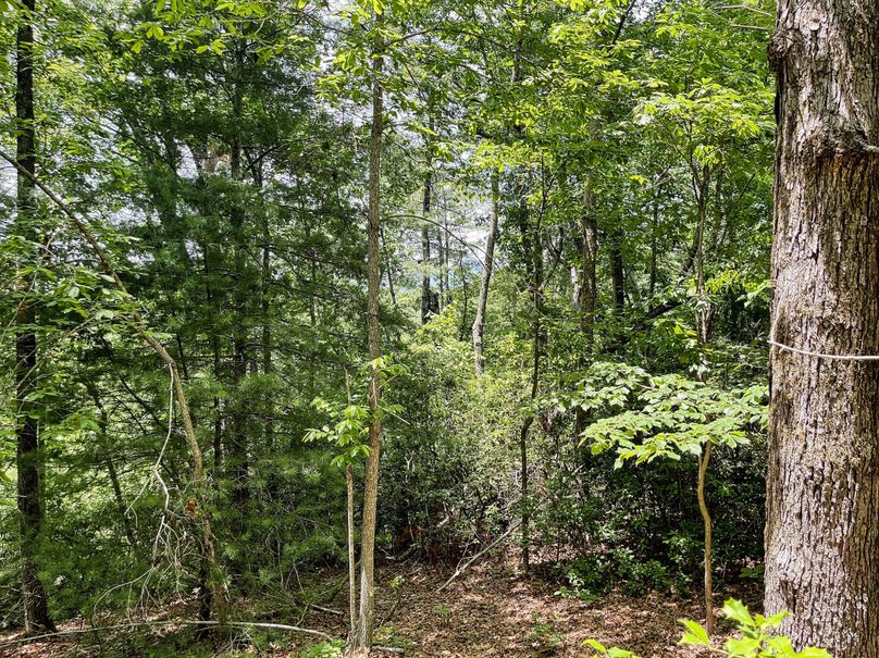 Distant Mountains 6.84 01