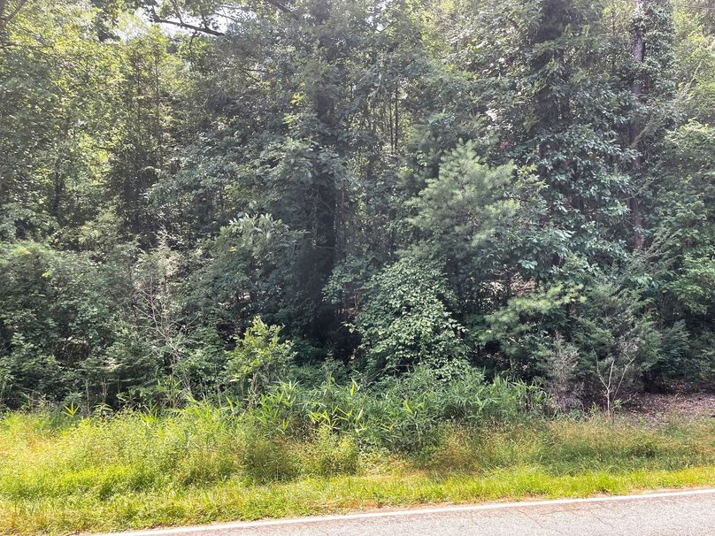 Road Frontage 6.84 03