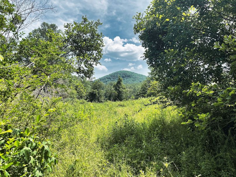 Mountain View 7.82 01