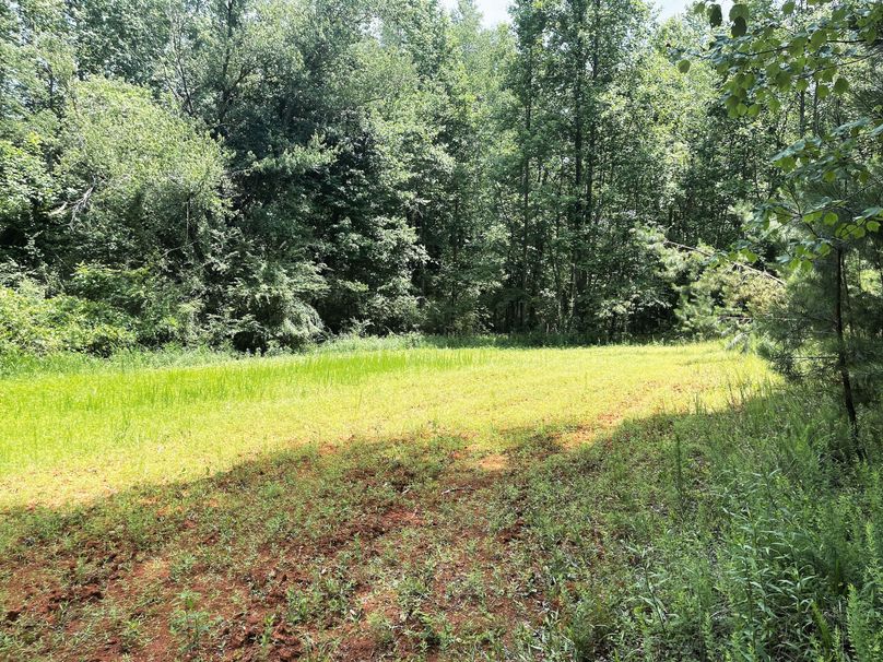 Food Plot 1 01