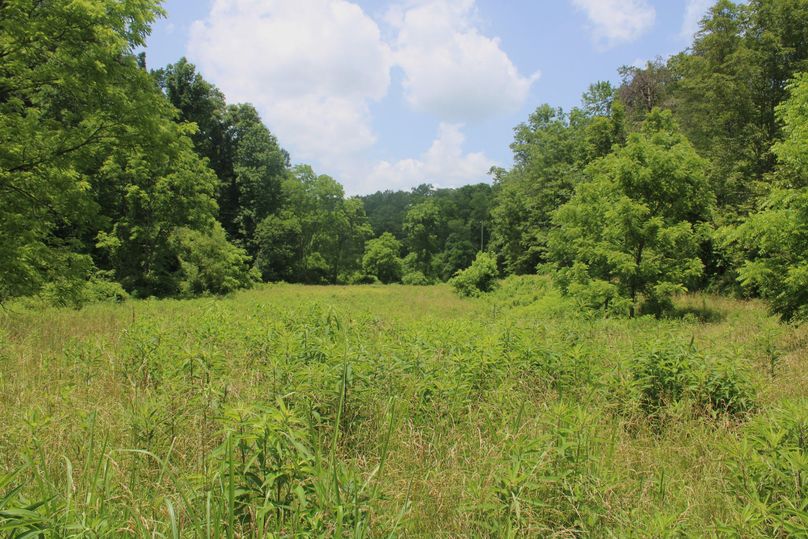 013 more beautiful tillable_pasture land