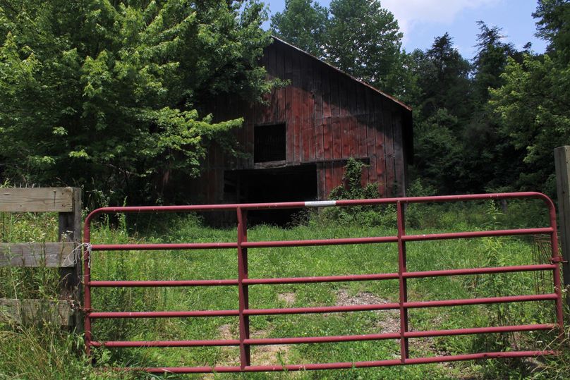 006 gated entrance to the barn and secondary hollow to the North