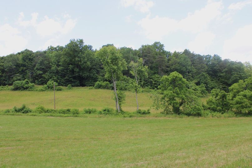 017 more beautiful tillable_pasture ground