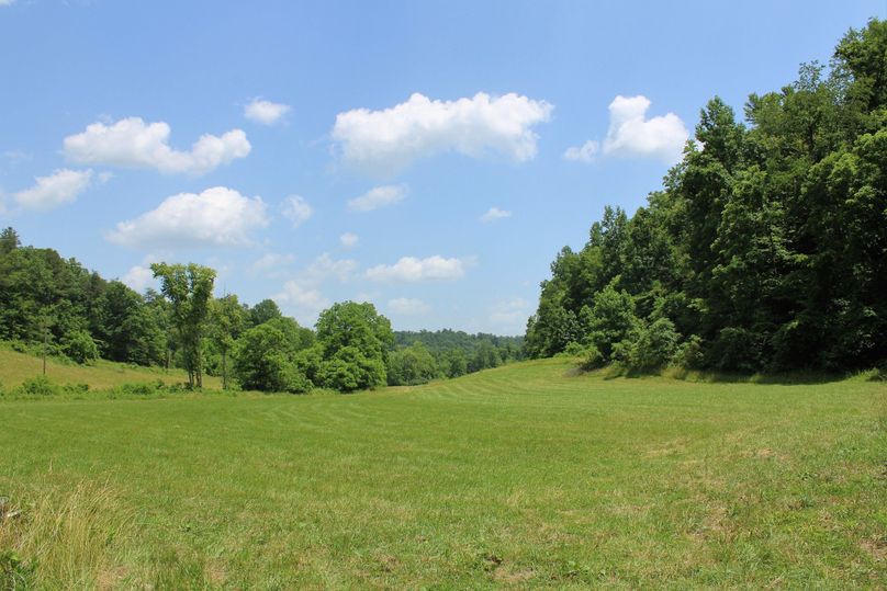 002 gorgeous views through the bottoms