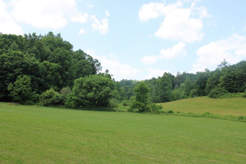 008 well maintained tillable_pasture ground throughout