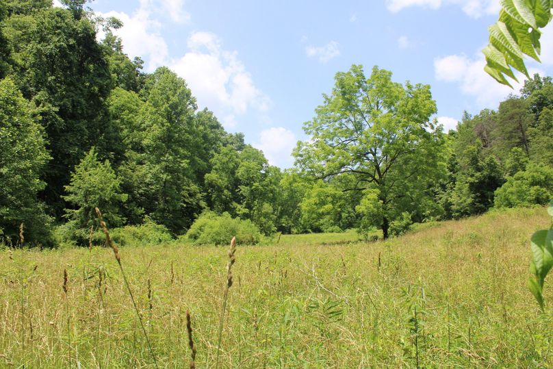 004 fantastic tillable_pasture ground on the NW portion