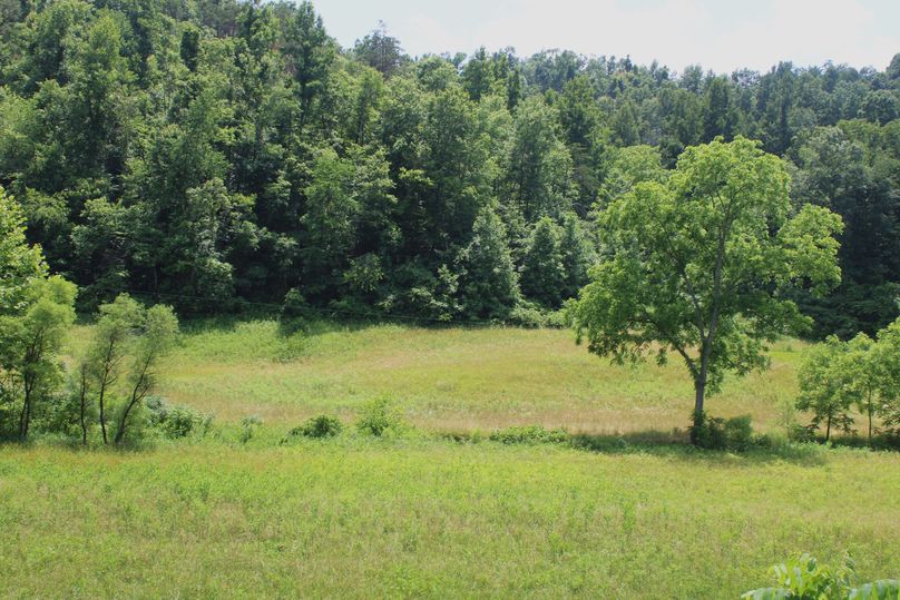 024 beautiful views looking over the fields from the gravel road