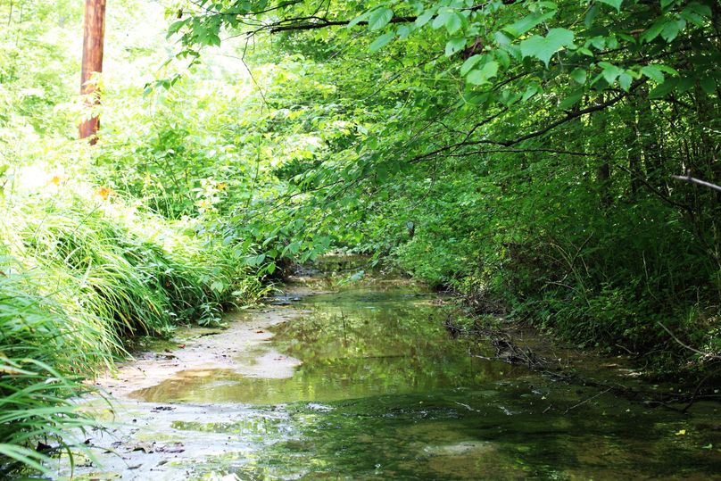 014 Harris Branch running centralized through the valley and property