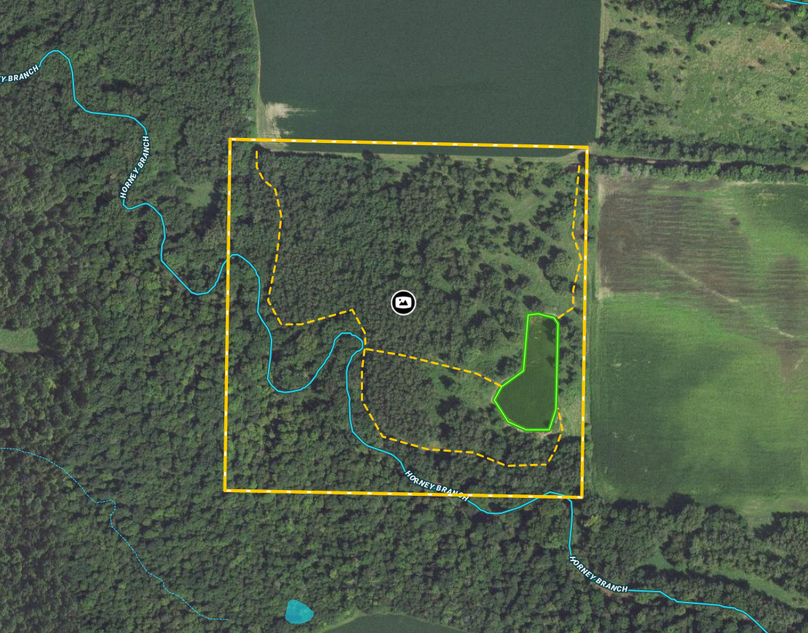 Screen Shot 2022-06-20 at 10.41.04 AM