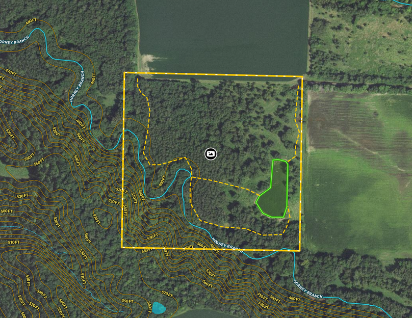 Screen Shot 2022-06-20 at 10.41.11 AM