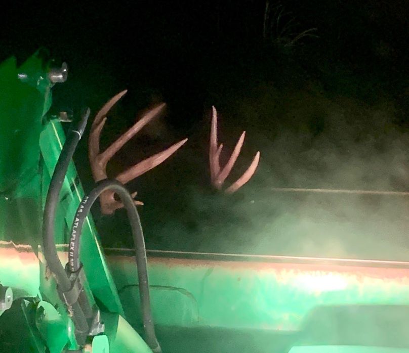 4 Whitetail Harvest