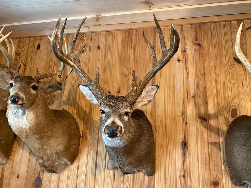 3 Harvested by Owner
