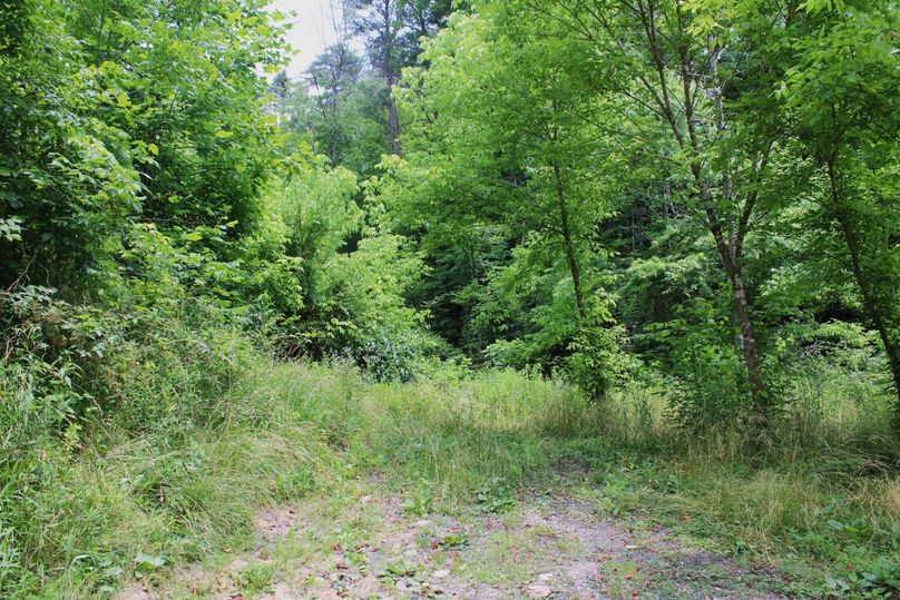 004 nice flat buildable ground