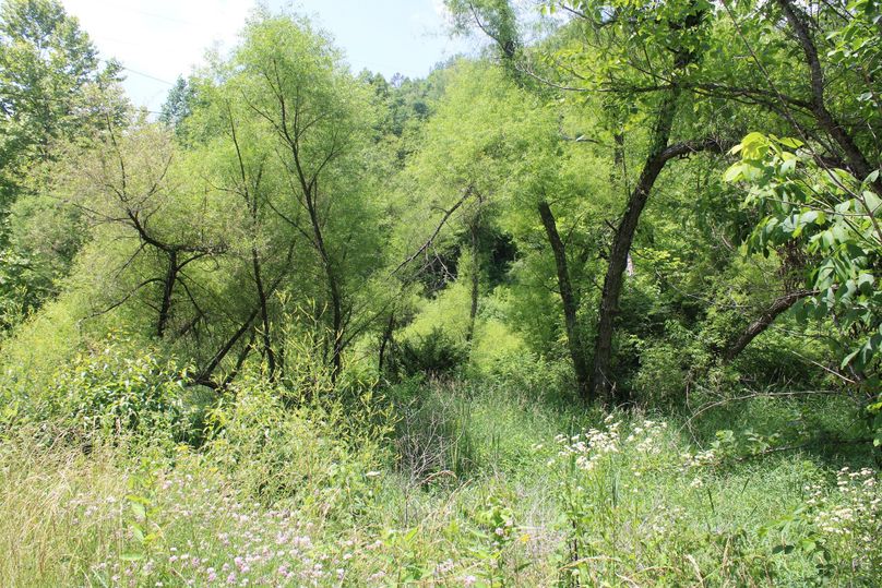 016 more nice flat ground along the creek