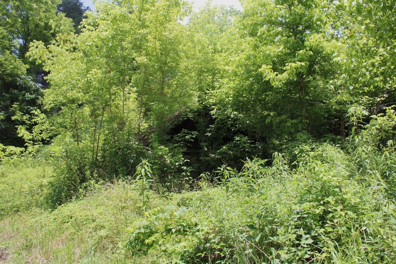 012 old shed in the back of the main entrance