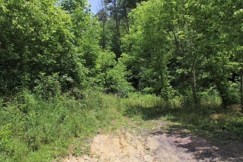 014 some nice flat ground in the main valley