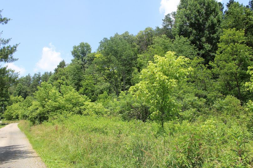 008 more nice flat ground just off the county pavement road
