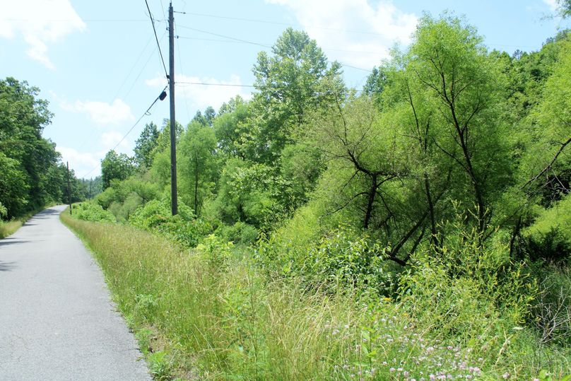 010 pavement road and electric along the waters of Sloane Branch