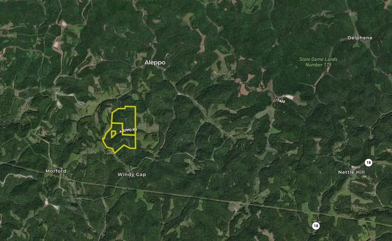 Screen Shot 2022-06-22 at 1.33.04 PM