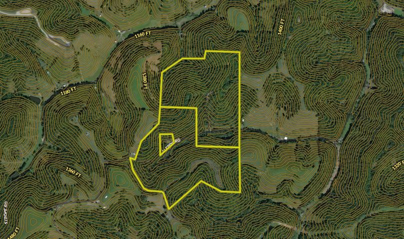 Screen Shot 2022-06-22 at 1.32.31 PM