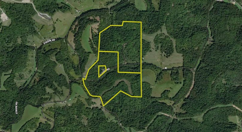 Screen Shot 2022-06-22 at 1.32.12 PM