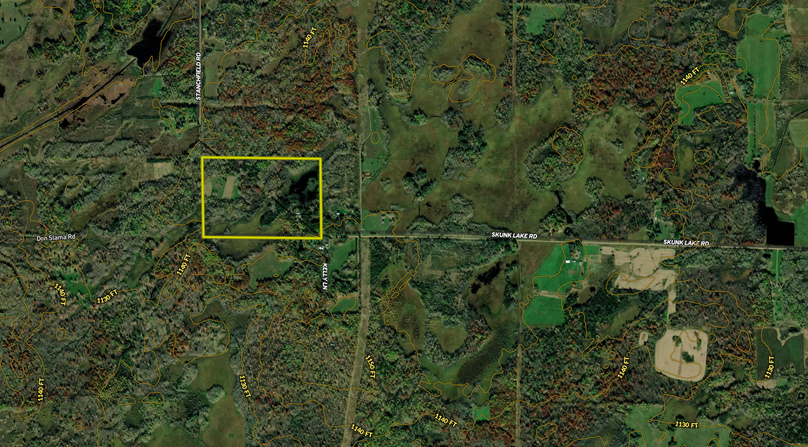 Screen Shot 2022-06-16 at 8.22.41 AM