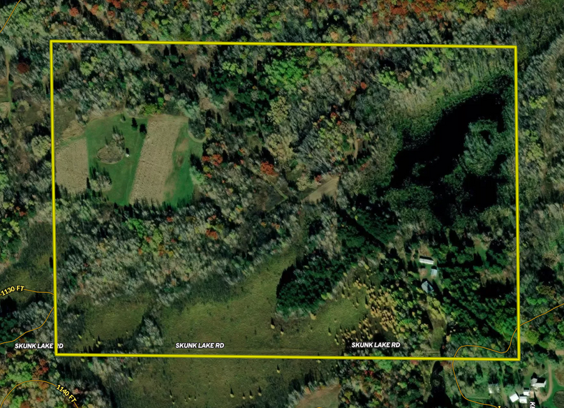 Screen Shot 2022-06-16 at 8.22.17 AM