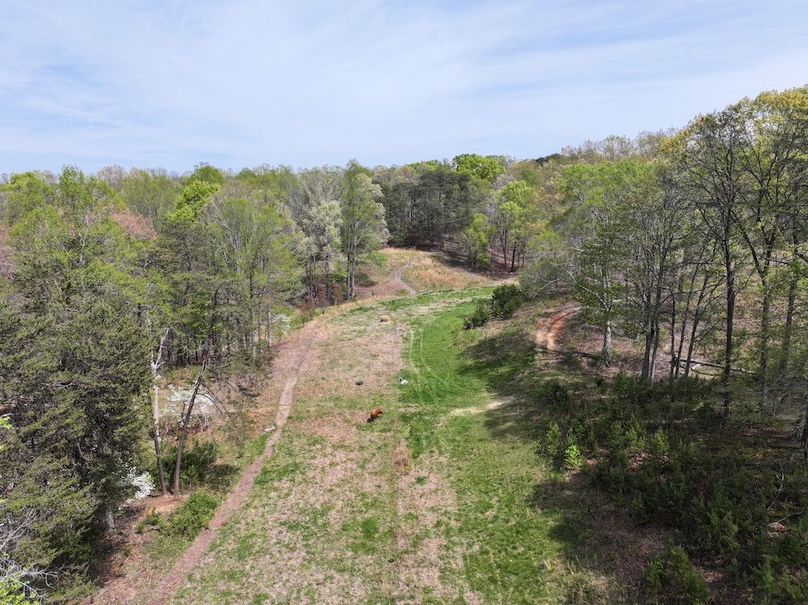 dji_fly_20260408_140322_0889_1776104742891_photo