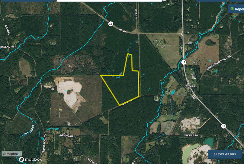 Screen Shot 2022-06-06 at 6.07.49 PM