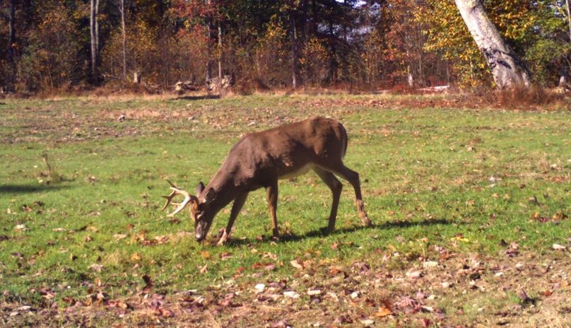 Screen Shot 2022-06-27 at 5.53.26 AM