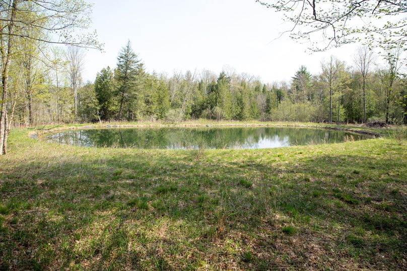 26 Pond in the Timber