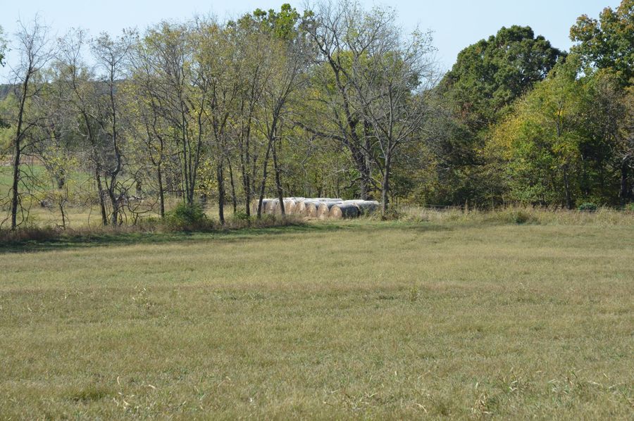 DSC_1321