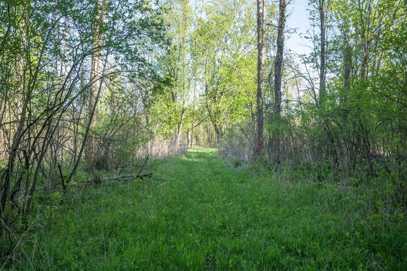 3 Trail Along Alder Creek Drain