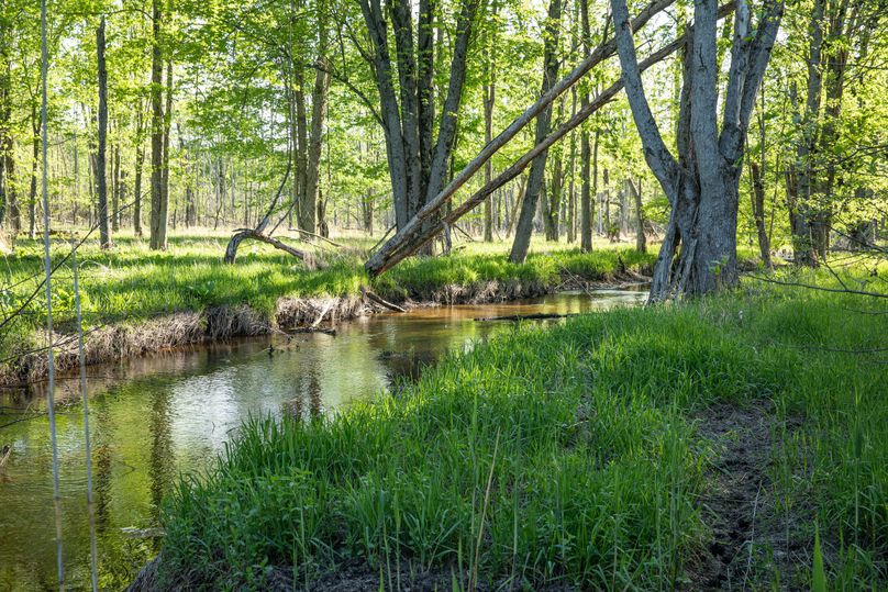 1 60 Acres in NE Kent County