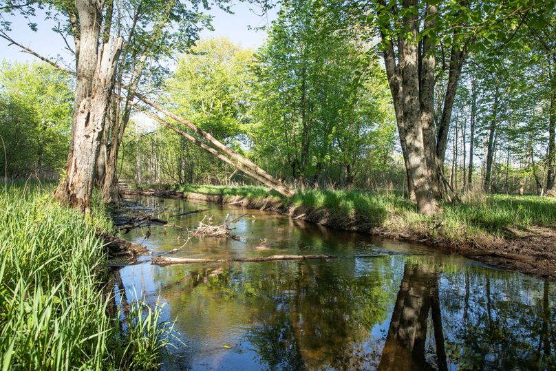 20 Alder Creek Drain