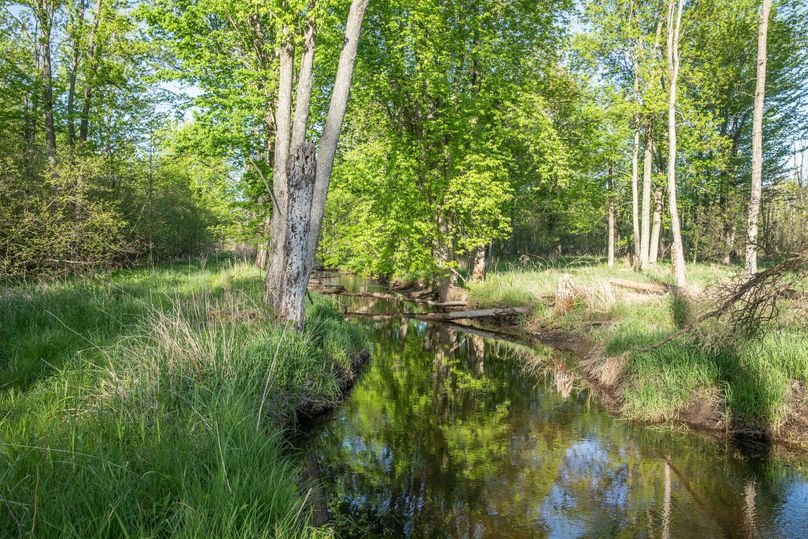 9 2000_ of Alder Creek Drain Frontage
