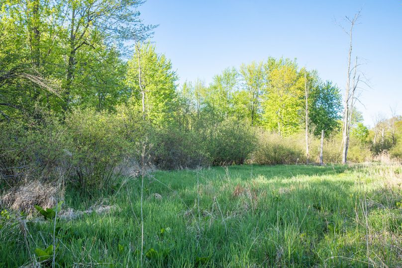18 Open Areas Would Make For Great Food Plots