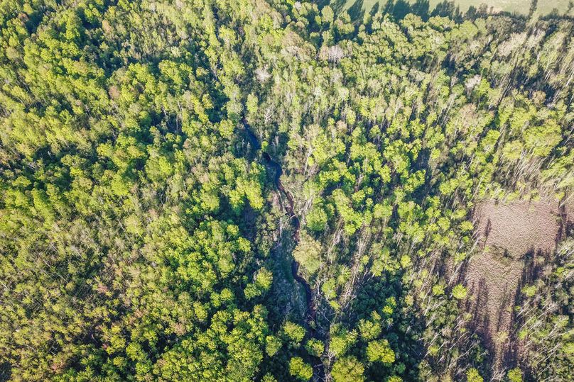 4 Alder Creek Drain Meanders Through The Property