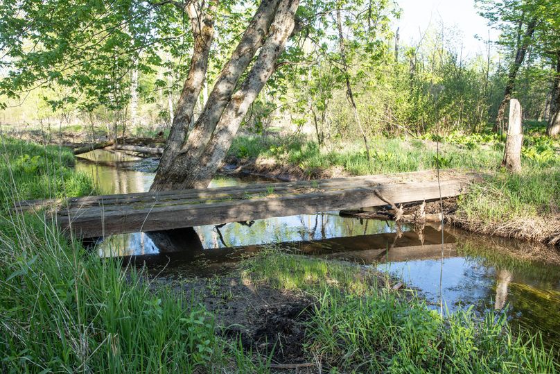 17 Foot Bridge to Cross Alder Creek Drain
