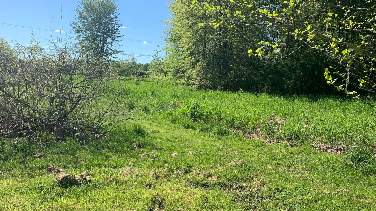 Nice Recreational Property In NE Ohio Whitetail Properties