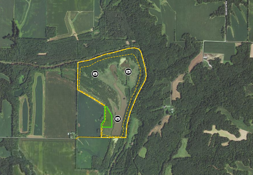 Screen Shot 2022-05-18 at 12.12.59 PM