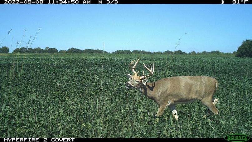 2022-09-08 11-34-50 M 3_3