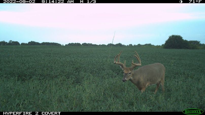 2022-09-02 09-14-22 M 1_3