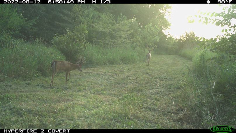 2022-08-12 18-58-49 M 1_3_001