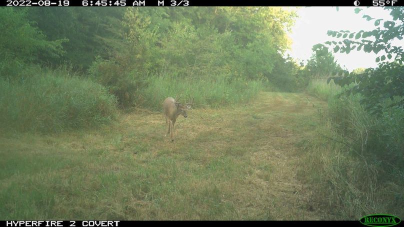 2022-08-19 06-45-45 M 3_3_001