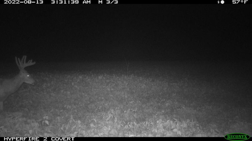 2022-08-13 03-31-39 M 3_3