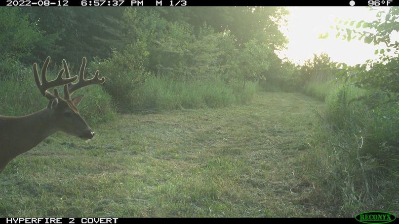 2022-08-12 18-57-37 M 1_3