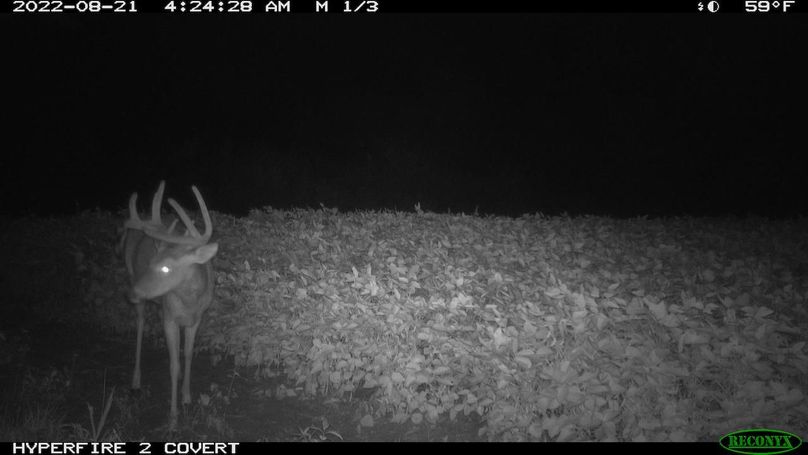 2022-08-21 04-24-28 M 1_3