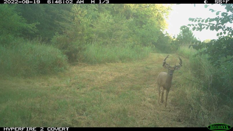 2022-08-19 06-46-02 M 1_3_001